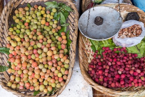 © Shivakumar L Narayan | www.shivakumar.net