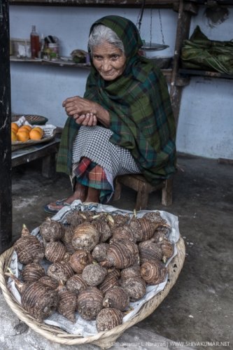 © Shivakumar L Narayan | www.shivakumar.net