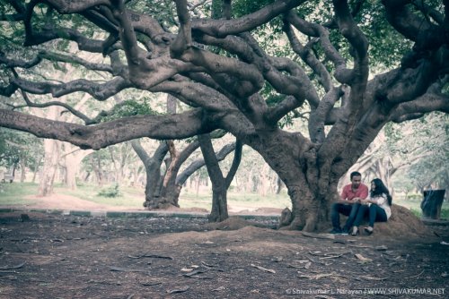 © Shivakumar L Narayan | www.shivakumar.net